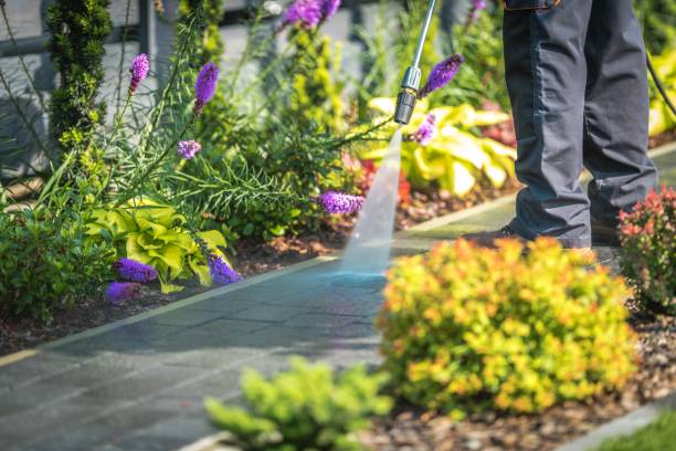 Best Gutter Cleaning  in St James, MN