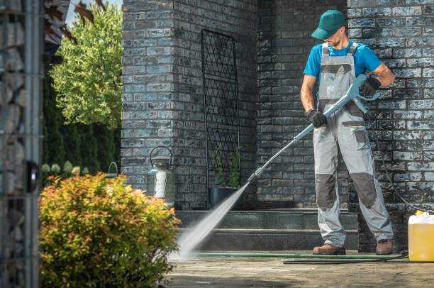 Best Solar Panel Cleaning  in St James, MN