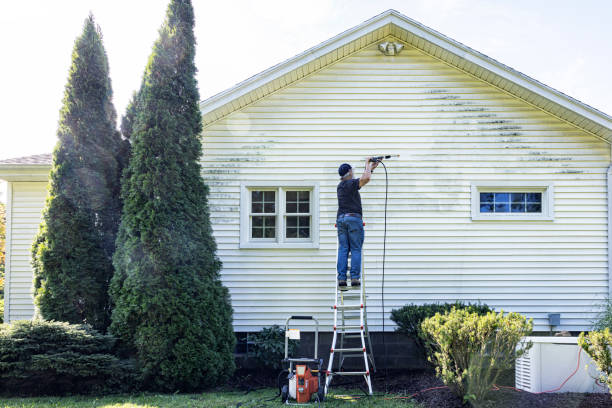 Best Paint Preparation  in St James, MN